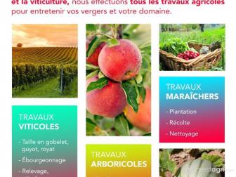 W&H PRESTAGRISERVICE, Vigneron en France